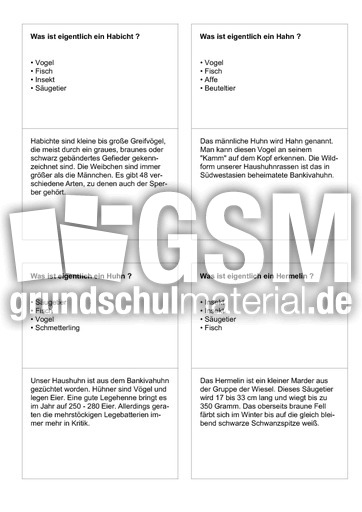 Tiernamen 36.pdf